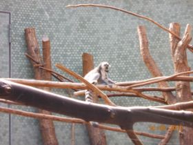 DSCN0546.JPG
