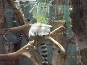 DSCN0547.JPG