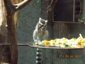DSCN0548.JPG