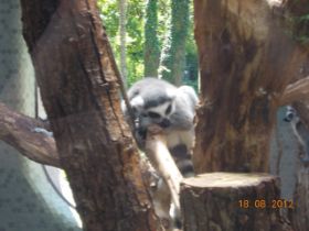 DSCN0549.JPG