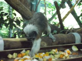 DSCN0550.JPG