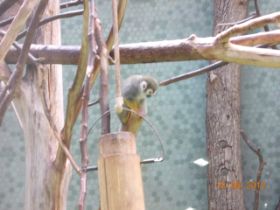DSCN0553.JPG