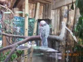 DSCN0559.JPG