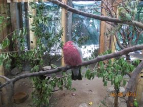 DSCN0560.JPG
