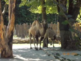 DSCN0565.JPG