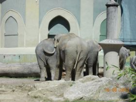 DSCN0570.JPG