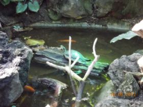 DSCN0575.JPG