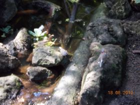 DSCN0576.JPG