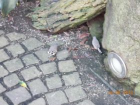 DSCN0577.JPG
