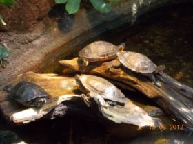 DSCN0588.JPG