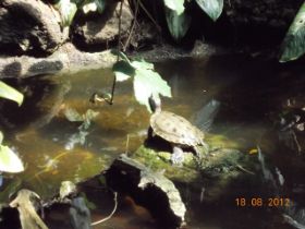DSCN0589.JPG