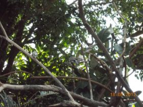 DSCN0595.JPG