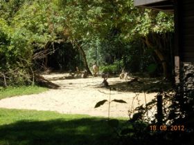 DSCN0598.JPG