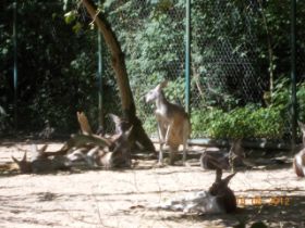 DSCN0600.JPG
