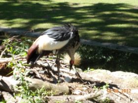 DSCN0605.JPG