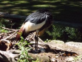 DSCN0606.JPG