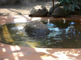 DSCN0614.JPG