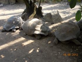 DSCN0615.JPG