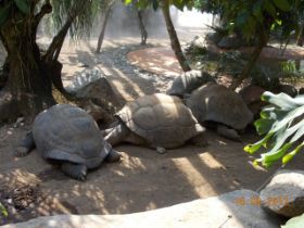 DSCN0616.JPG