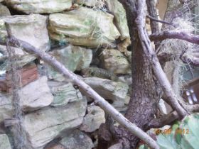 DSCN0617.JPG