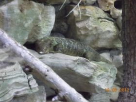 DSCN0618.JPG
