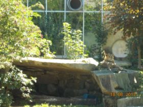DSCN0620.JPG