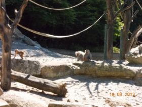 DSCN0622.JPG