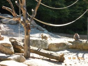 DSCN0623.JPG