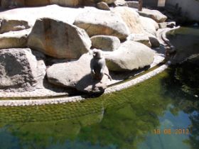 DSCN0627.JPG