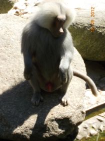 DSCN0628.JPG