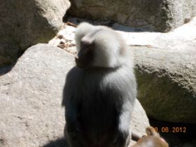 DSCN0629.JPG