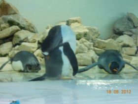 DSCN0631.JPG