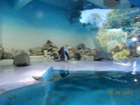DSCN0630.JPG