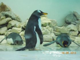 DSCN0632.JPG