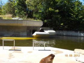 DSCN0639.JPG