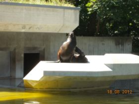 DSCN0640.JPG