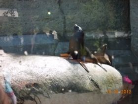 DSCN0646.JPG