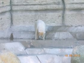 DSCN0650.JPG
