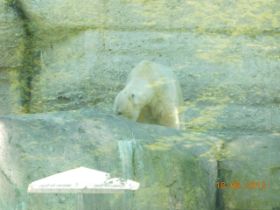 DSCN0651.JPG