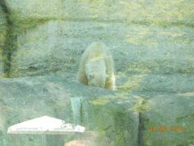 DSCN0652.JPG