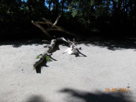 DSCN0654.JPG