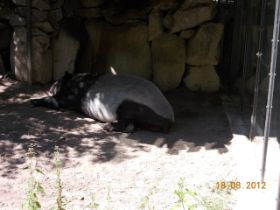 DSCN0660.JPG