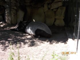 DSCN0661.JPG