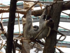 DSCN0667.JPG