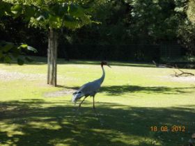 DSCN0672.JPG