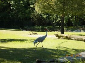 DSCN0673.JPG