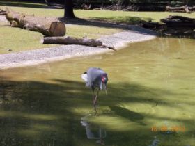 DSCN0674.JPG