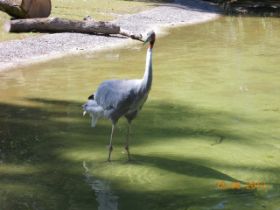 DSCN0676.JPG
