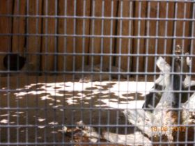 DSCN0681.JPG