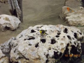 DSCN0683.JPG